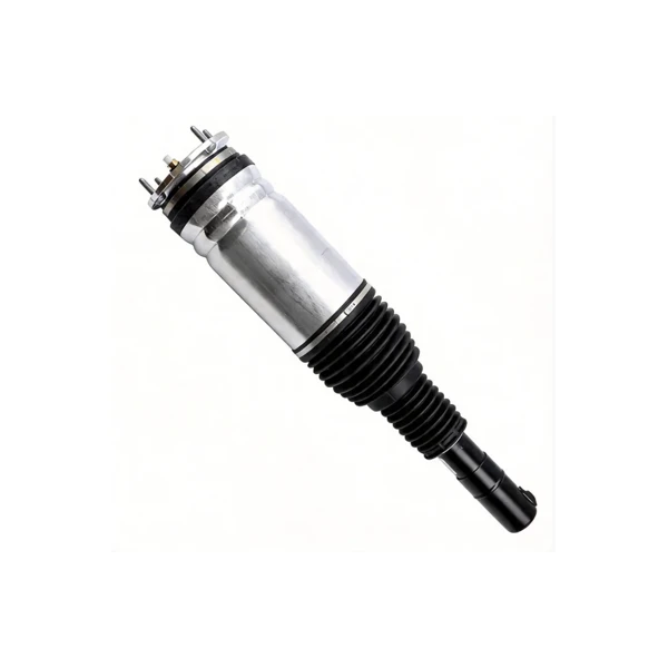 air shocks and air springs